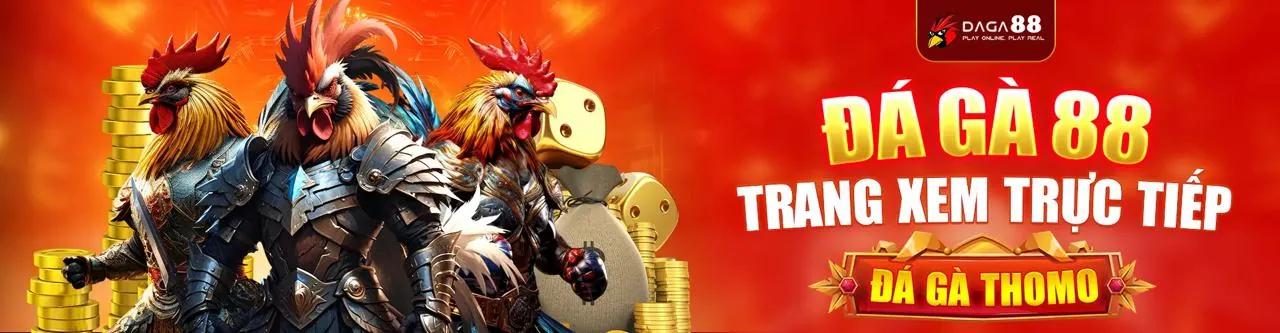 Hỗ trợ khách hàng 24/7 tại noho90